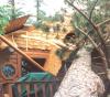 A large pine falls on a home during the 1999 Blowdown storm. Photo courtesy of Jim Cordes